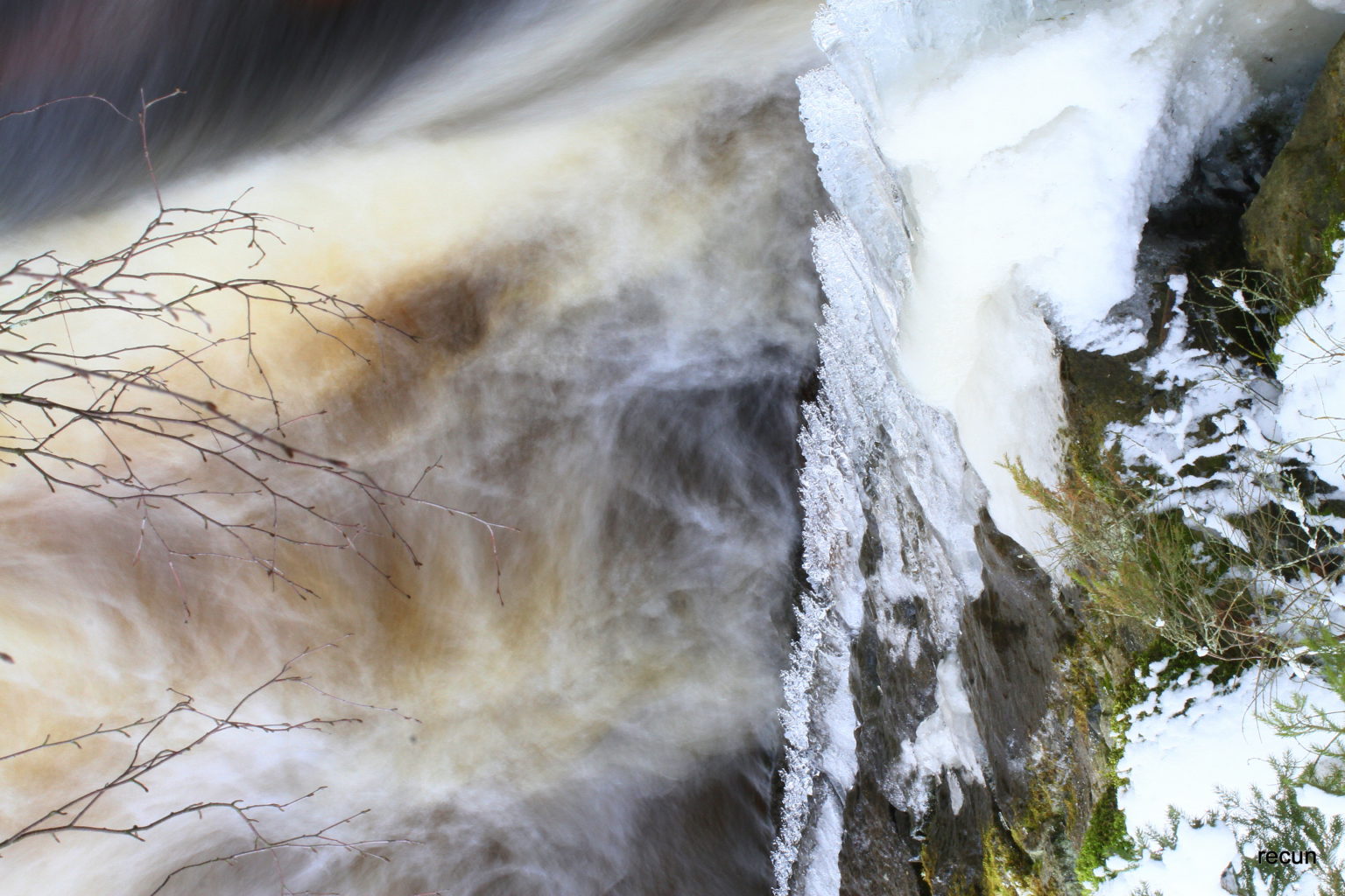 Valokuvaaja: reijo lehtonen