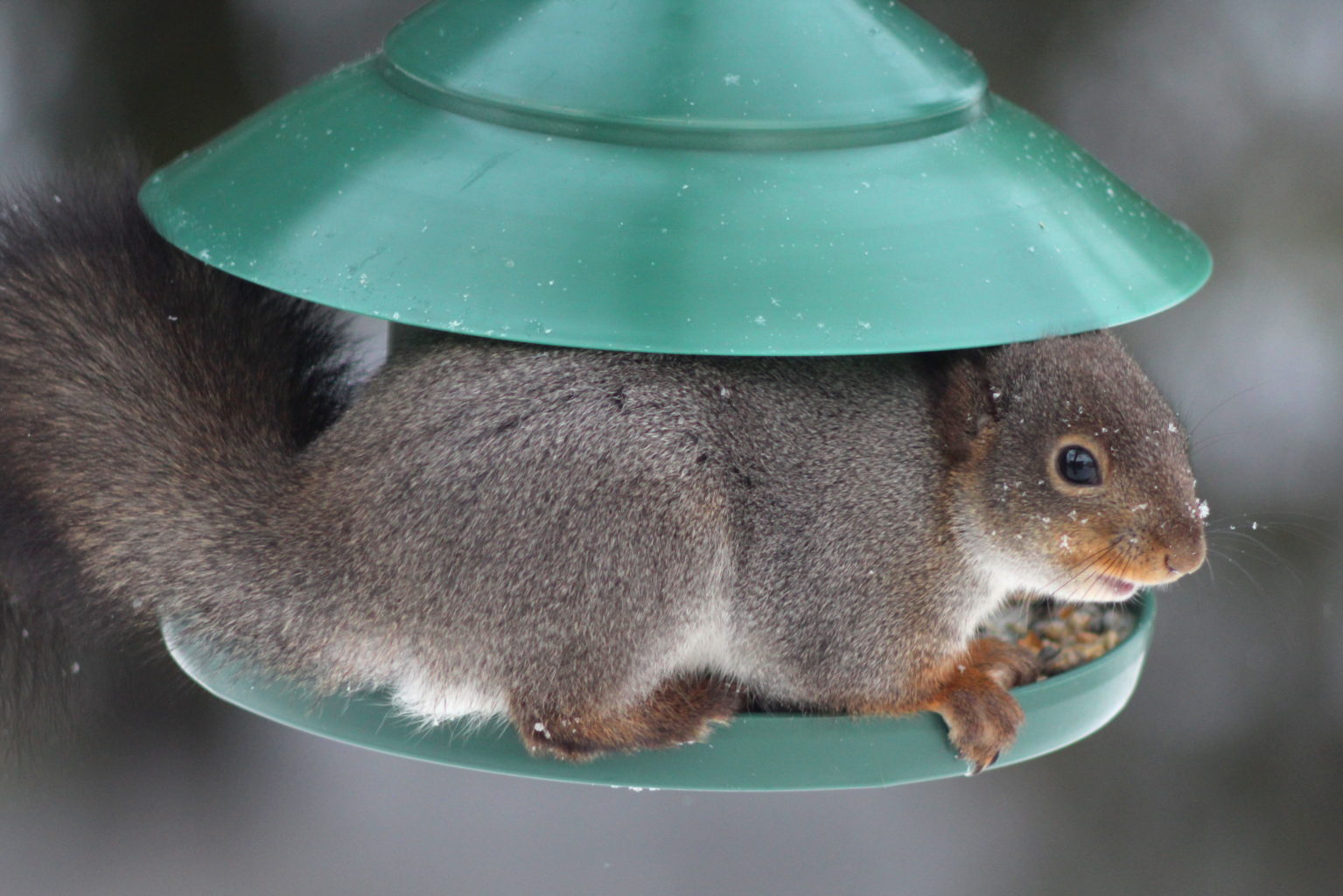 Valokuvaaja: Kalle Asikainen