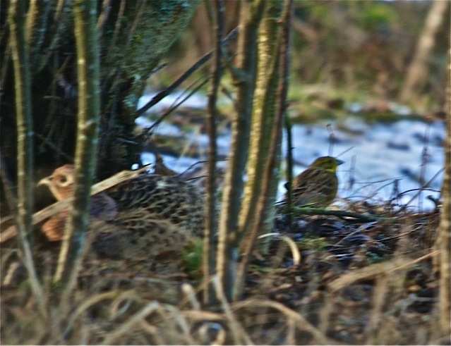 Valokuvaaja: markku Ranta-Eilola  (mre)
