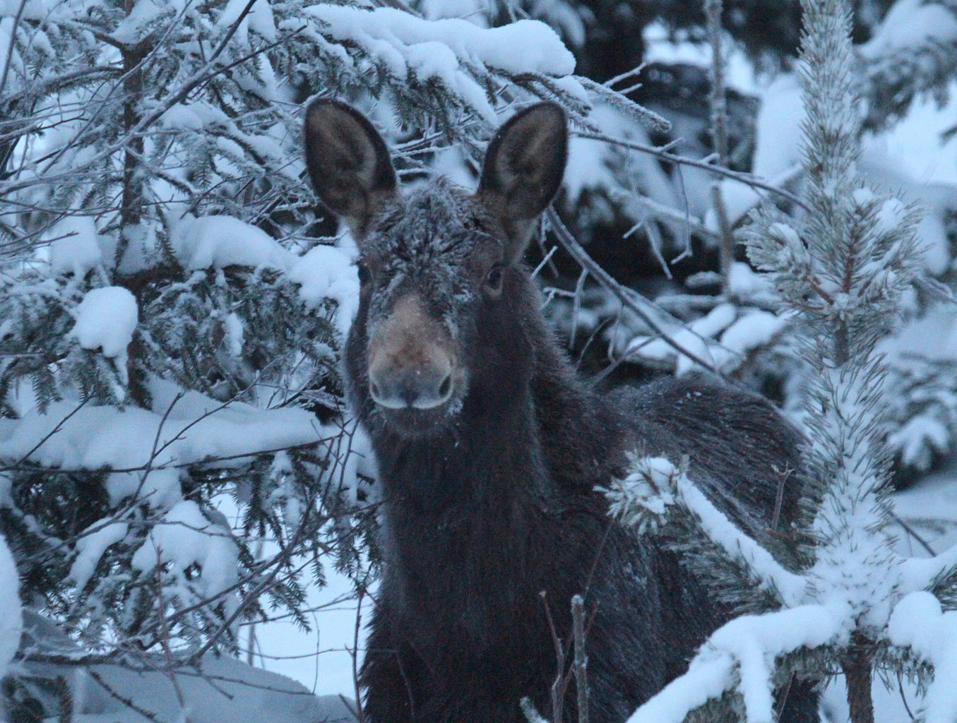 Valokuvaaja: Sirpa Jyske