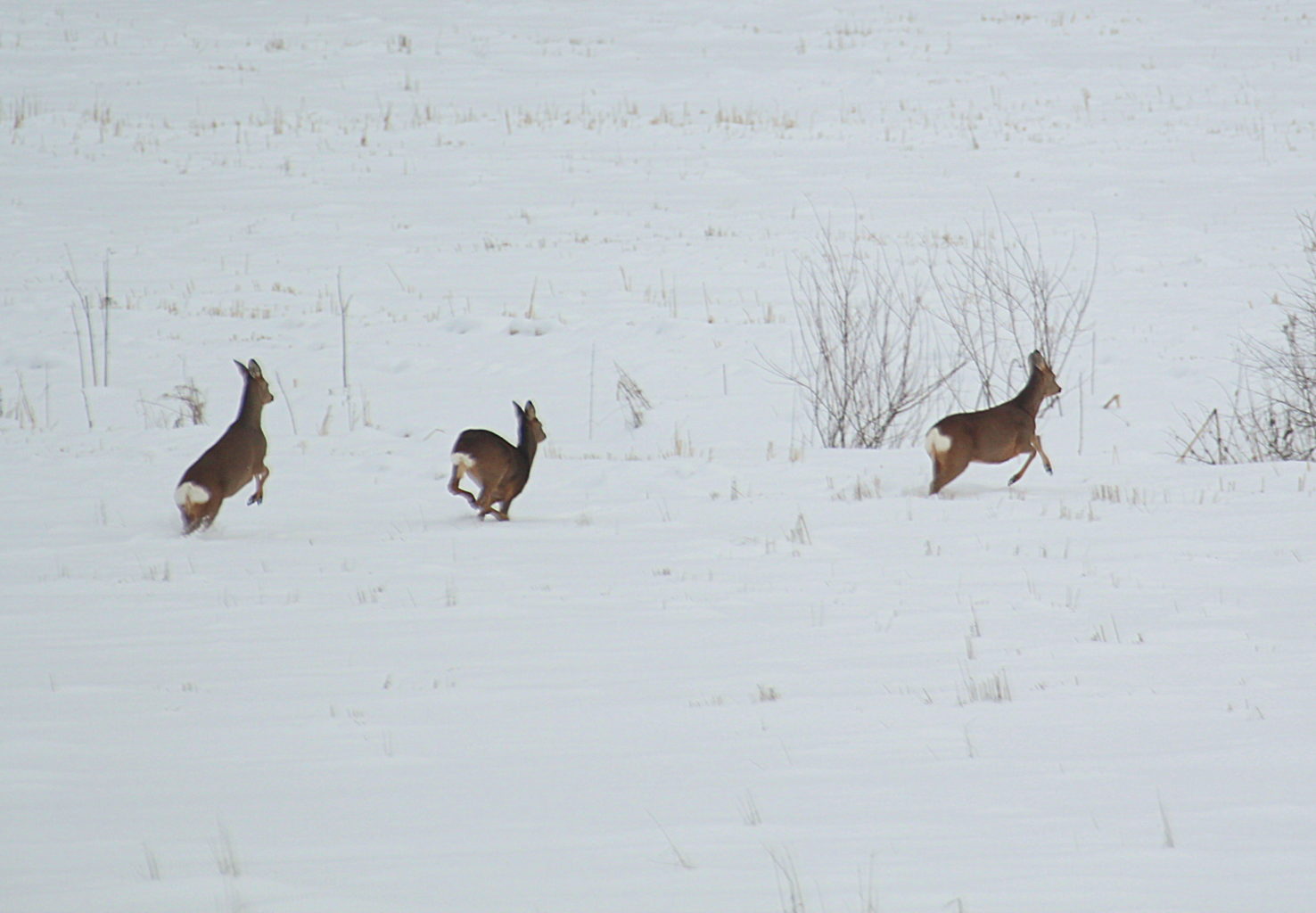 Valokuvaaja: Sirpa Jyske