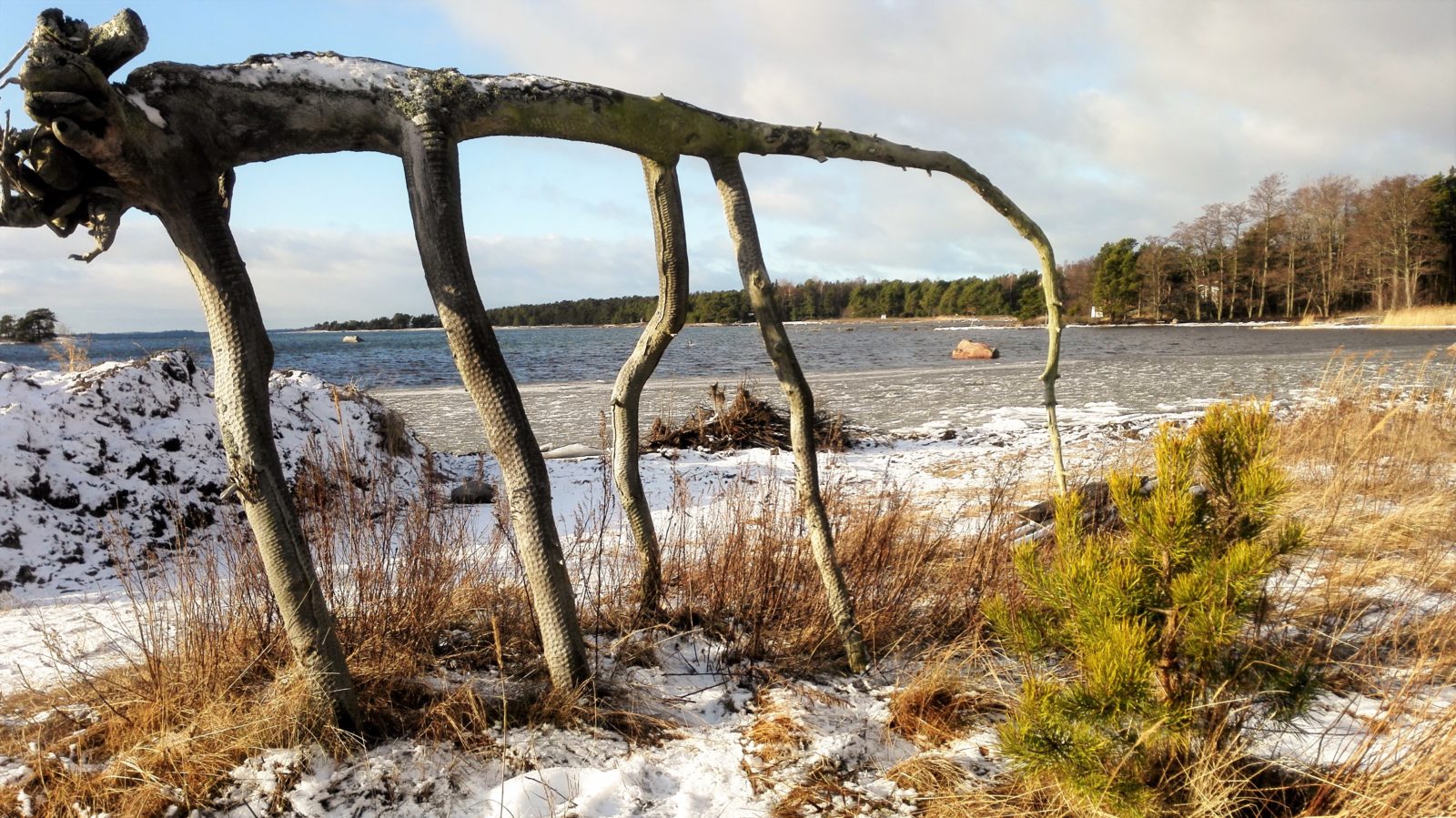 Valokuvaaja: Timo Parkkonen Valokuvaaja: Timo Parkkonen