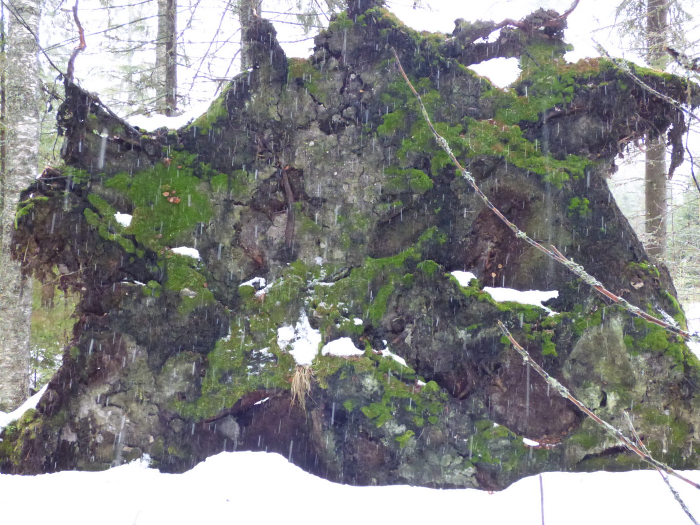 Valokuvaaja: Hannu Rissanen