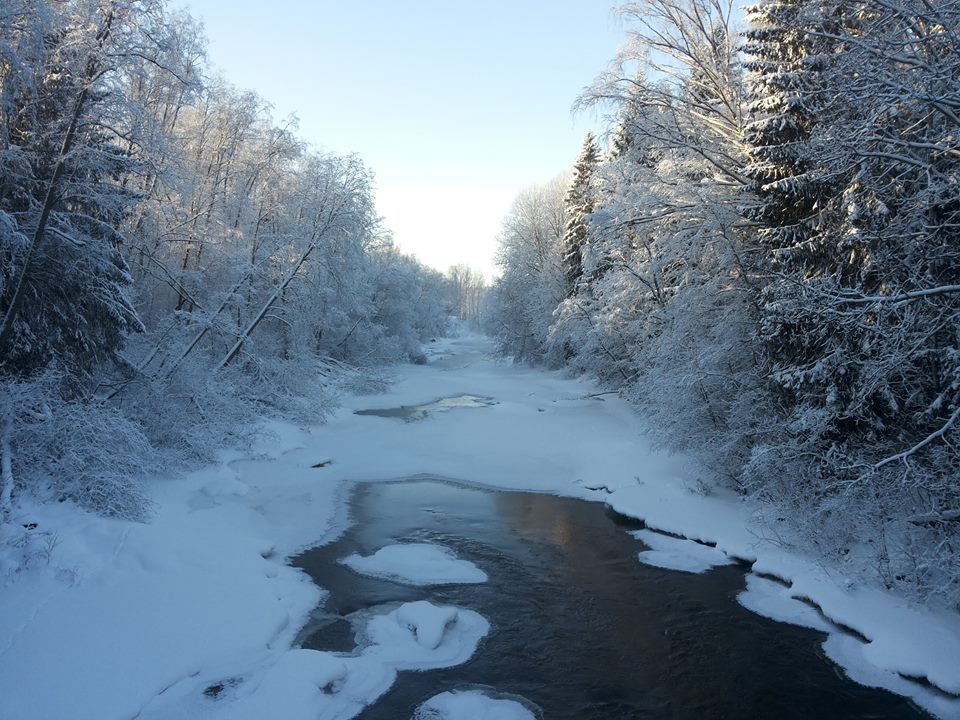 Valokuvaaja: Timo Parkkonen Valokuvaaja: Timo Parkkonen