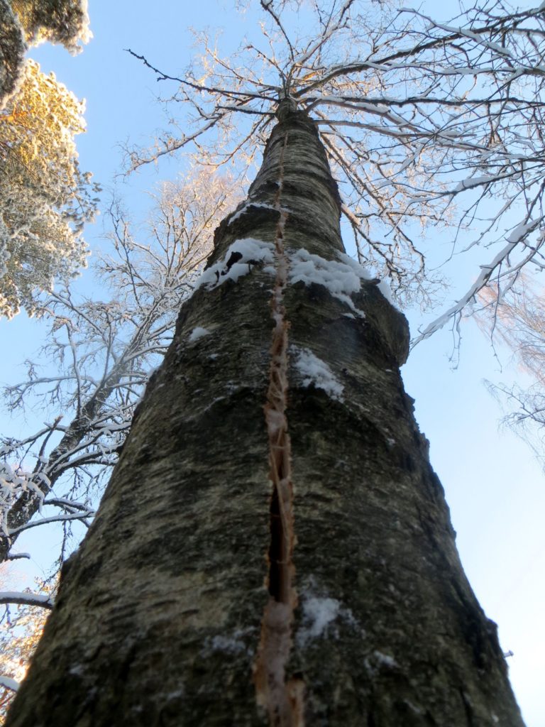 Valokuvaaja: Kai Kankare