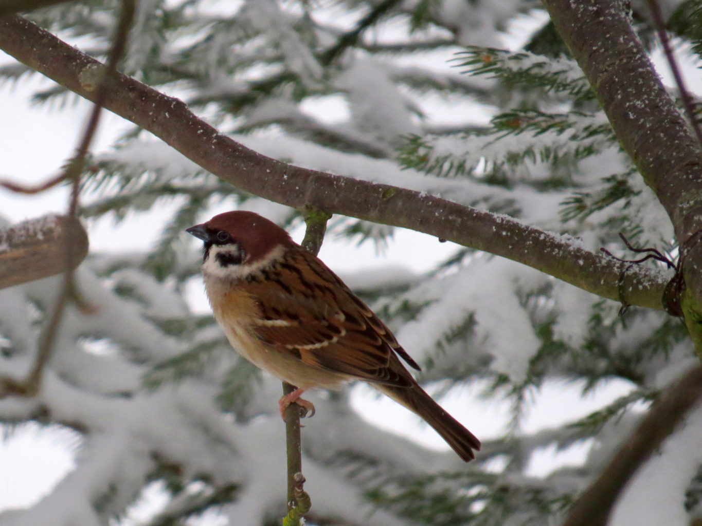 Valokuvaaja: Jaana Talvinen