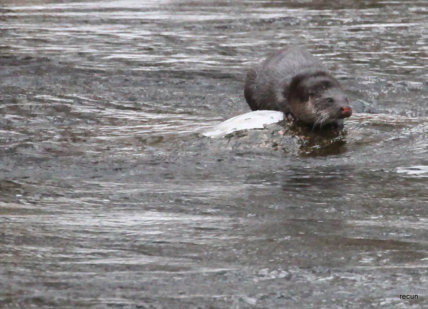 Valokuvaaja: reijo lehtonen