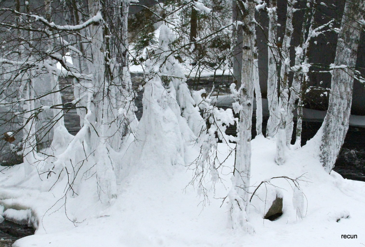 Valokuvaaja: reijo lehtonen