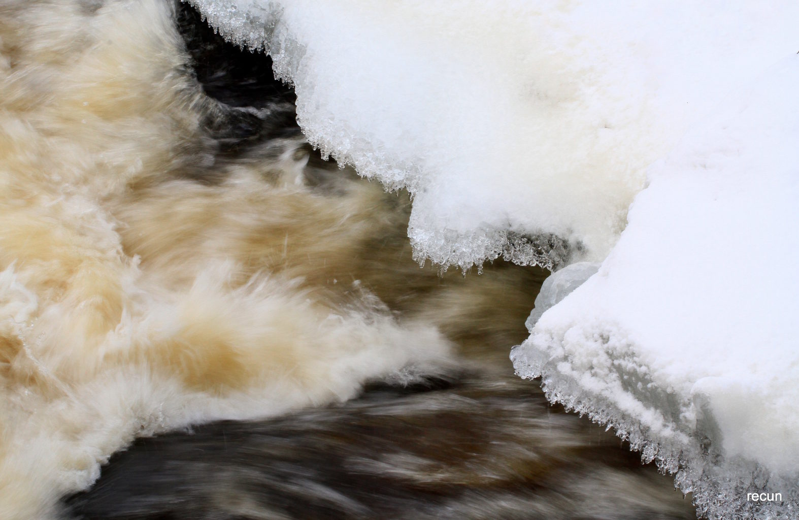 Valokuvaaja: reijo lehtonen Valokuvaaja: reijo lehtonen