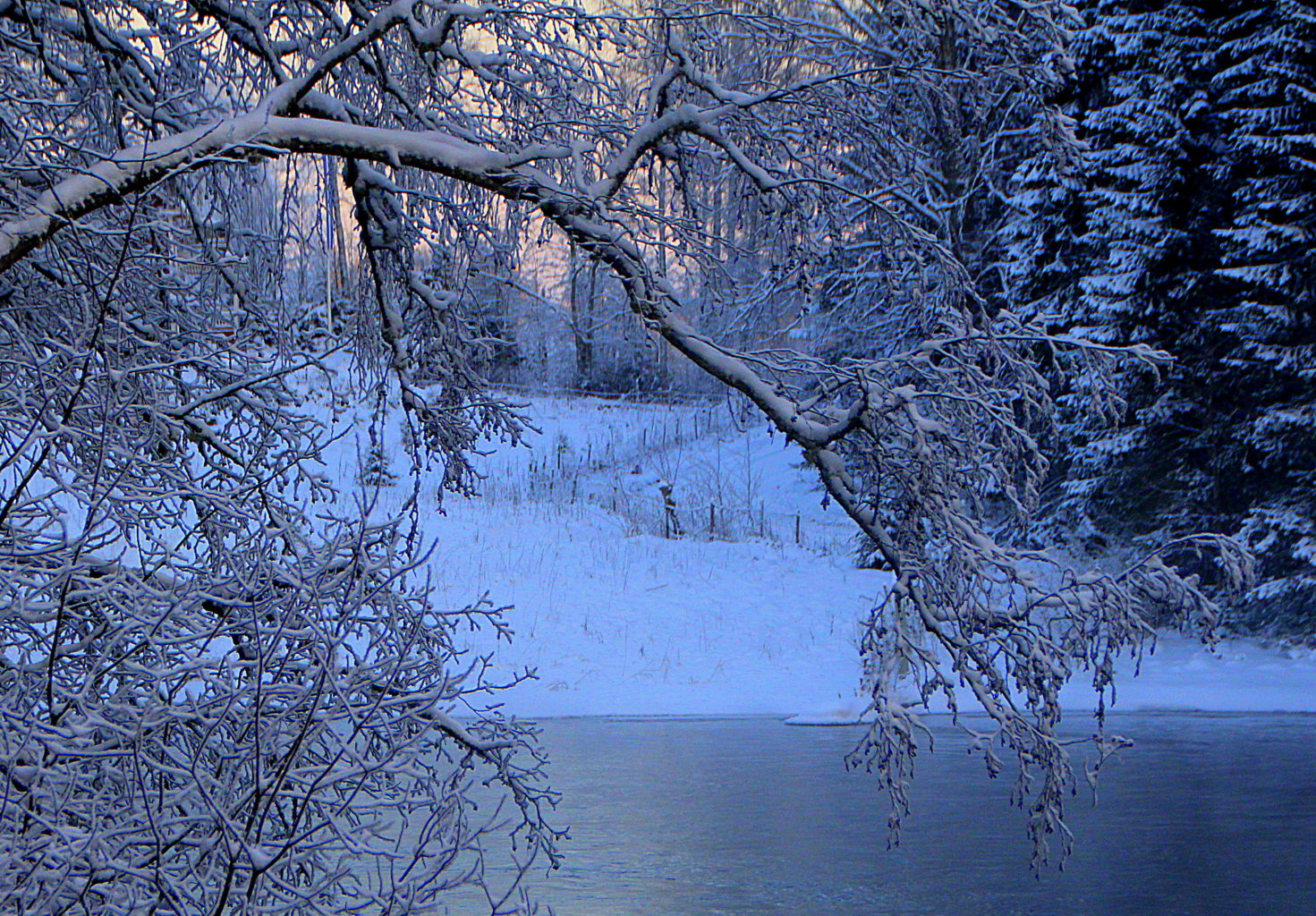 Valokuvaaja: Sirpa Jyske