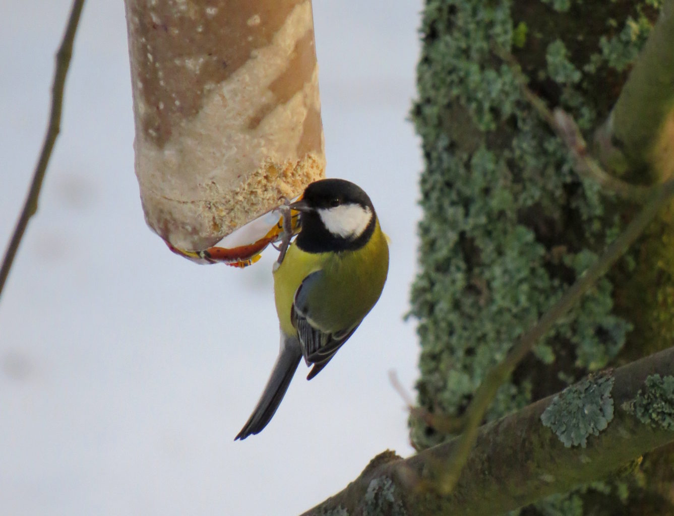 Valokuvaaja: Jaana Talvinen