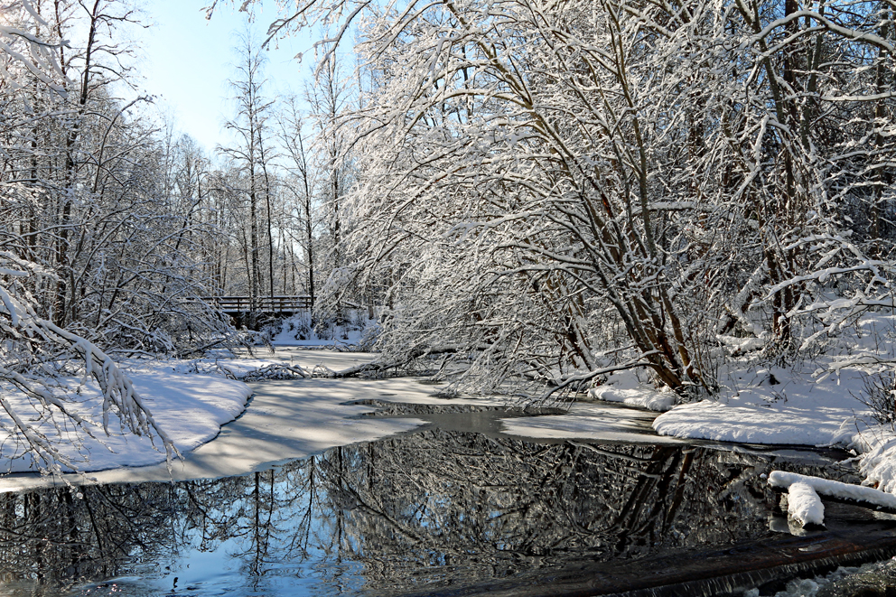 Valokuvaaja: Seppo Kalliomäki Valokuvaaja: Seppo Kalliomäki