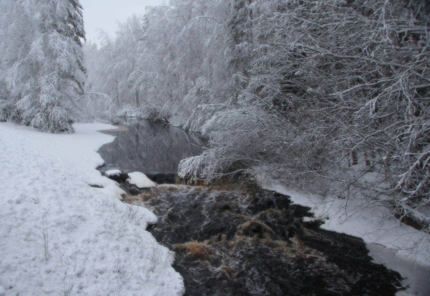 Valokuvaaja: Sirpa Jyske