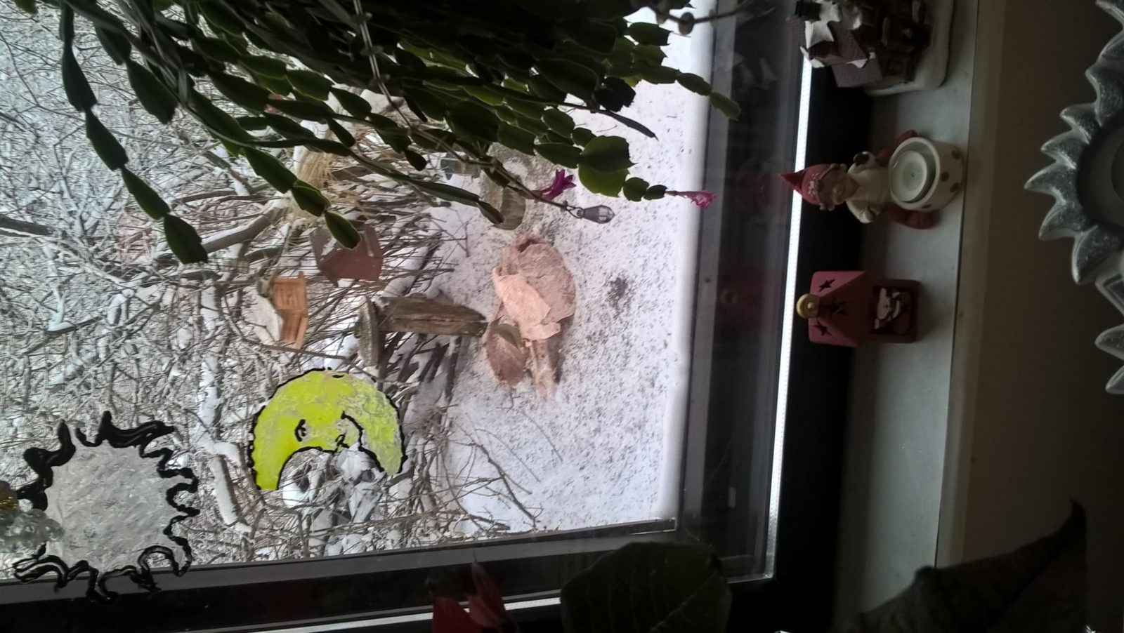 Valokuvaaja: Anna Liisa Savolainen