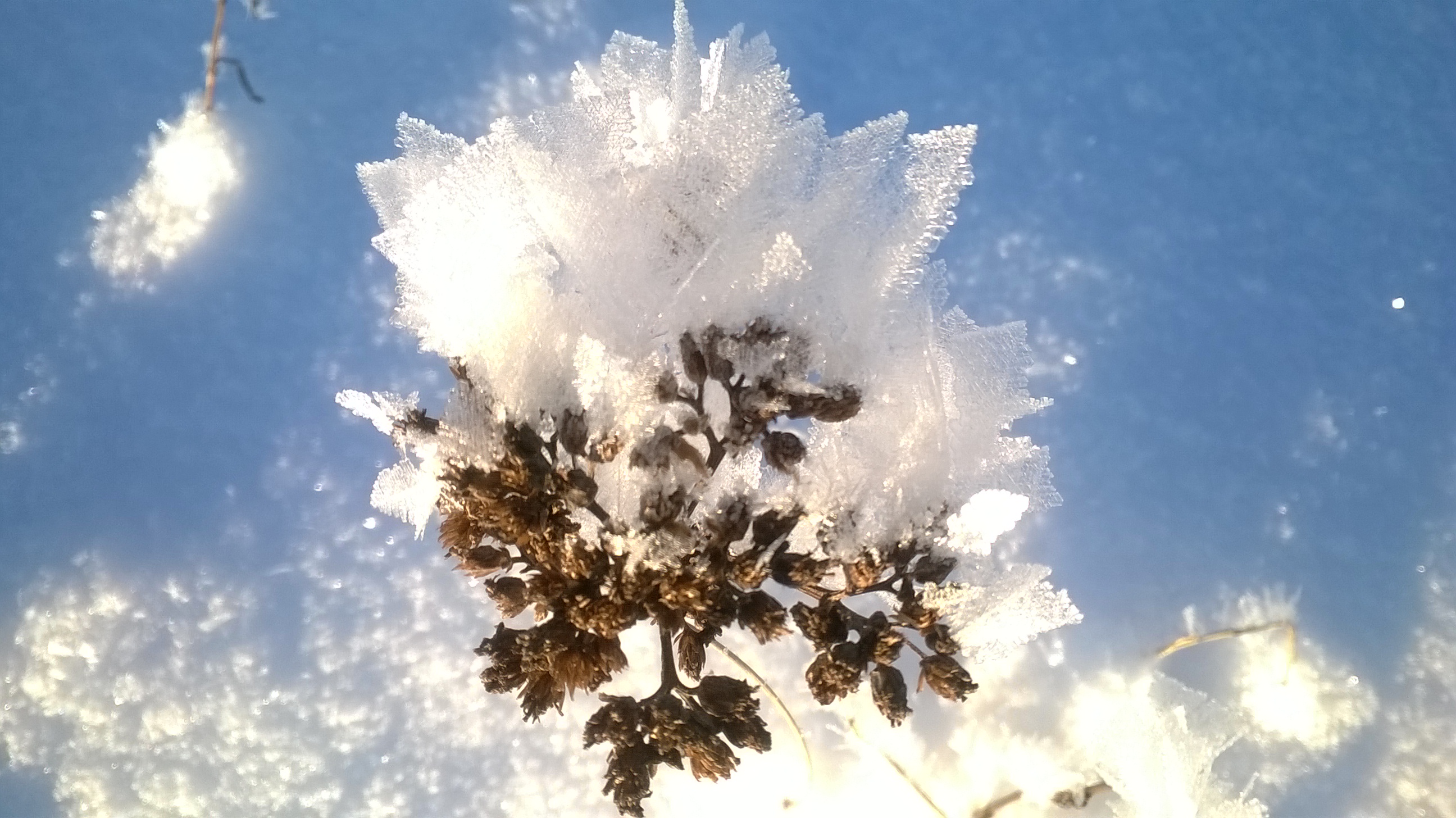 Valokuvaaja: Sonja Pajulo