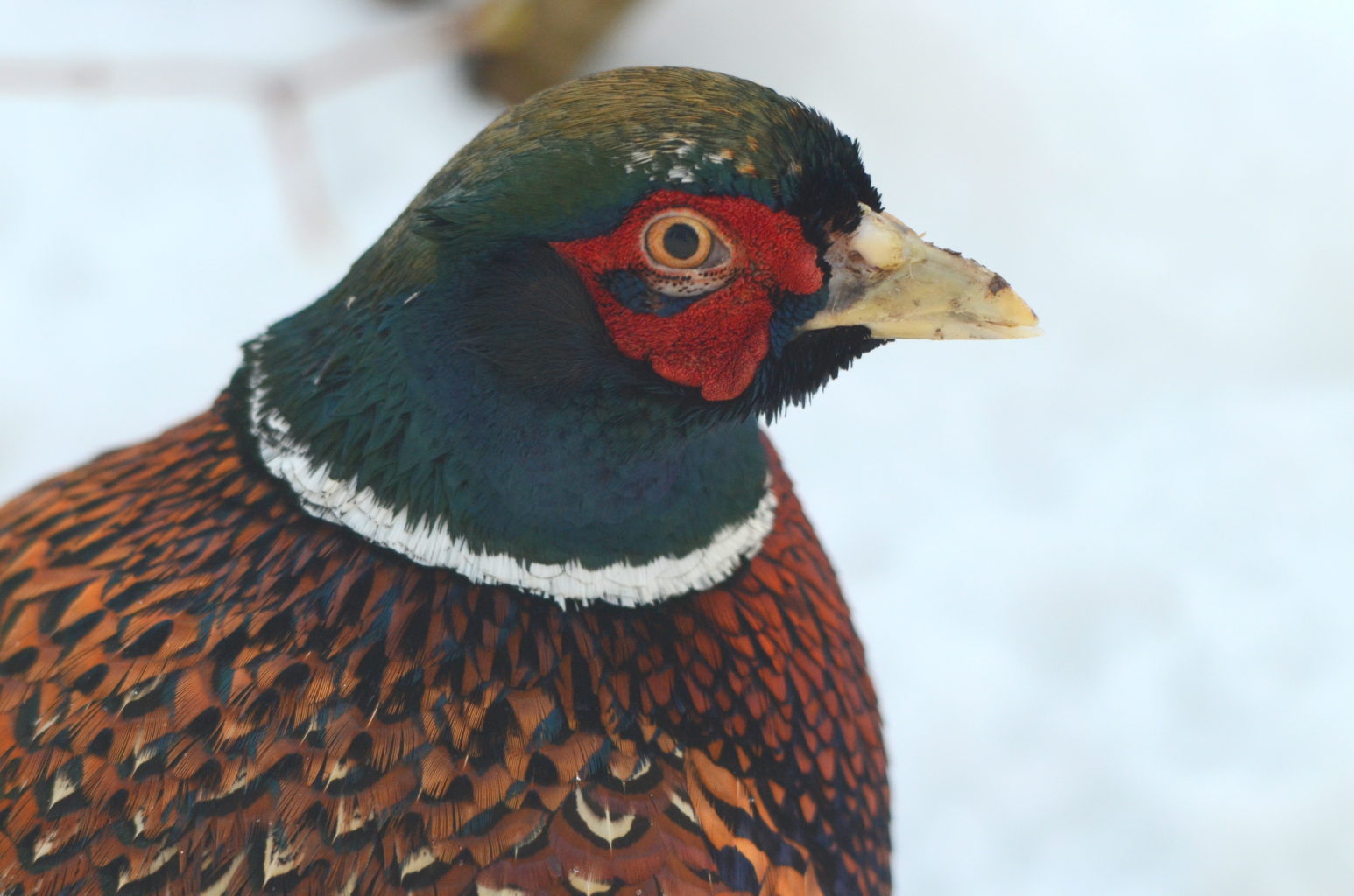 Valokuvaaja: Kalle Asikainen