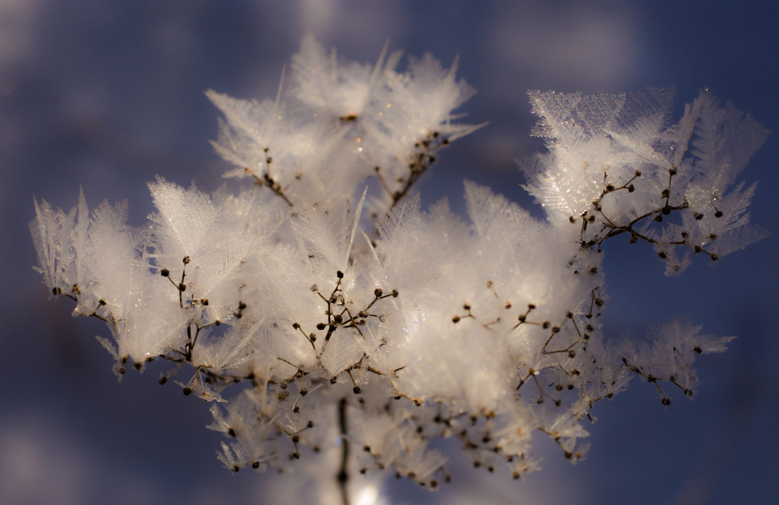 Valokuvaaja: Jutta Kirkkala