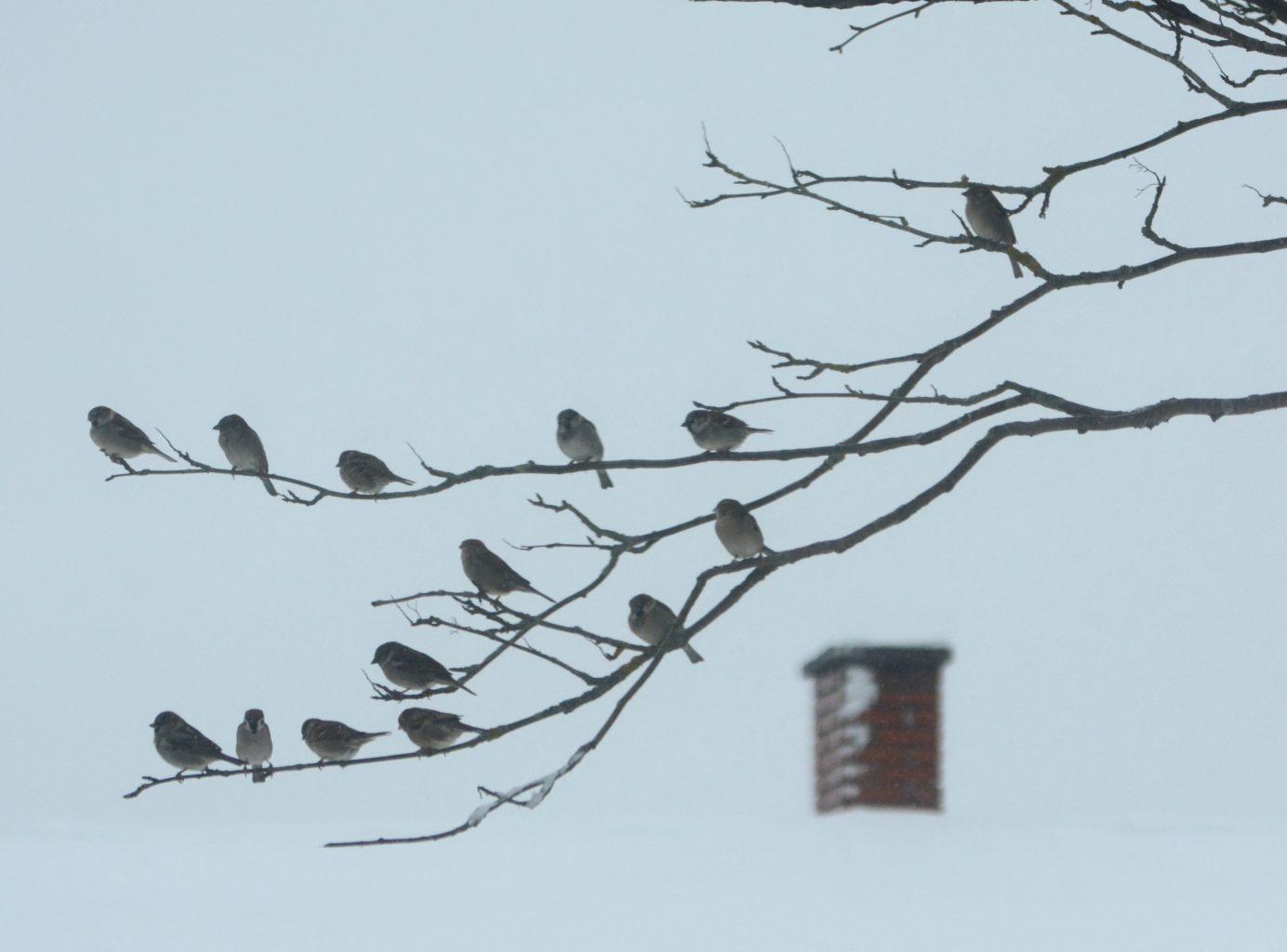 Valokuvaaja: Maija Savolainen