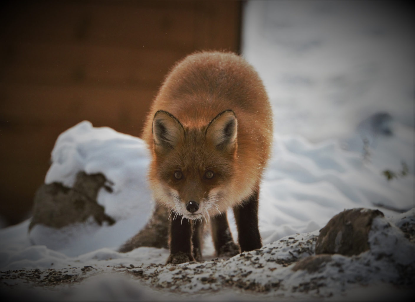 Valokuvaaja: Sirpa Marttila Valokuvaaja: Sirpa Marttila