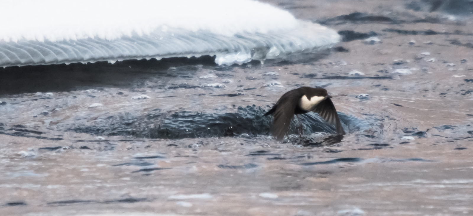Valokuvaaja: Jutta Kirkkala