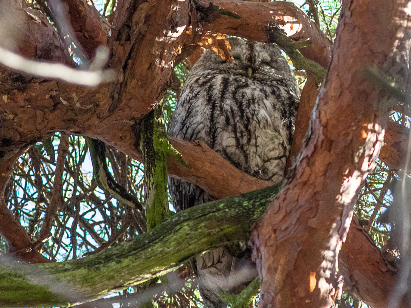 Valokuvaaja: Heikki Rantala