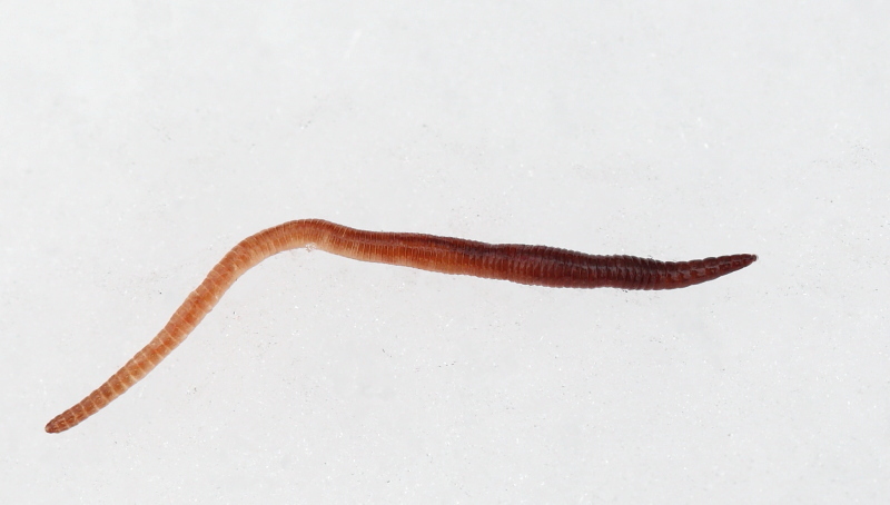 Valokuvaaja: Hanna Järvinen