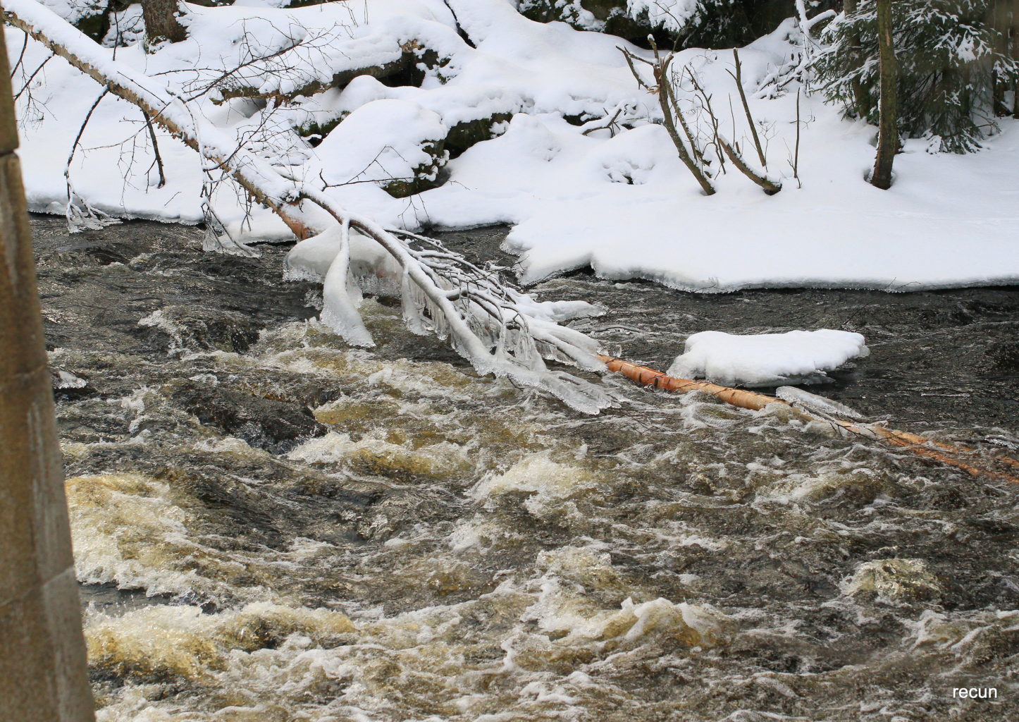 Valokuvaaja: reijo lehtonen