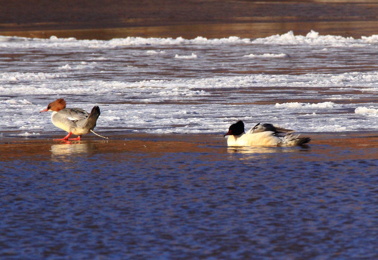 Valokuvaaja: ilkka rönkä