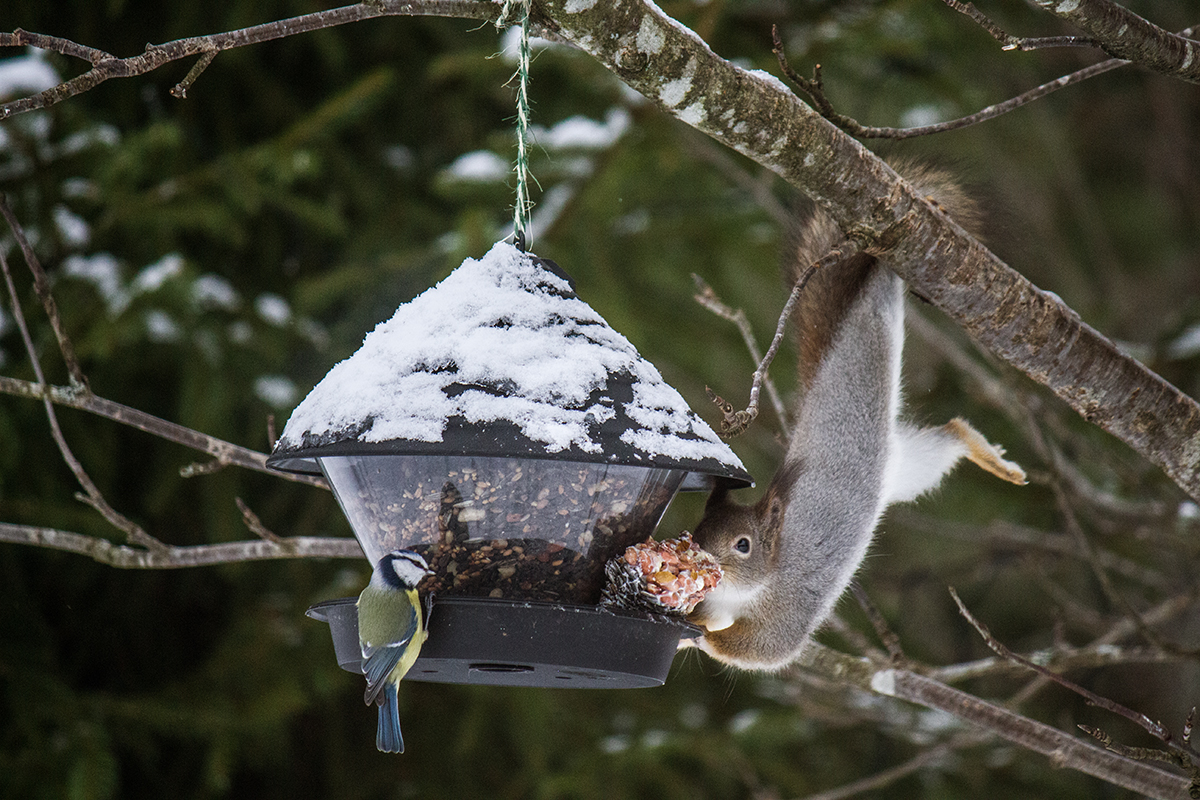 Valokuvaaja: Katja Vornanen