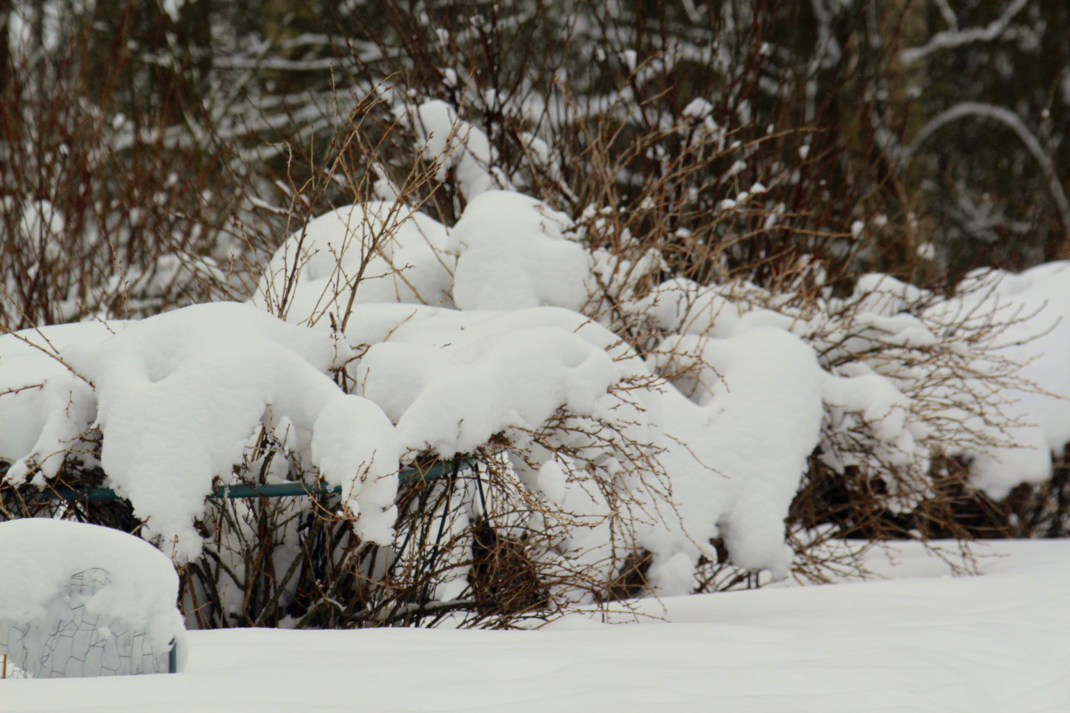 Valokuvaaja: Sirpa Jyske
