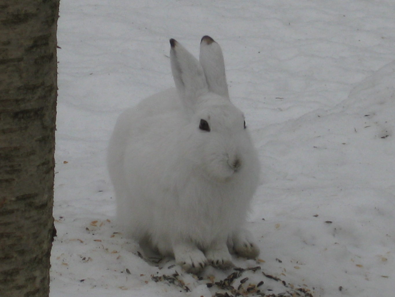 Valokuvaaja: yrjo lukkari