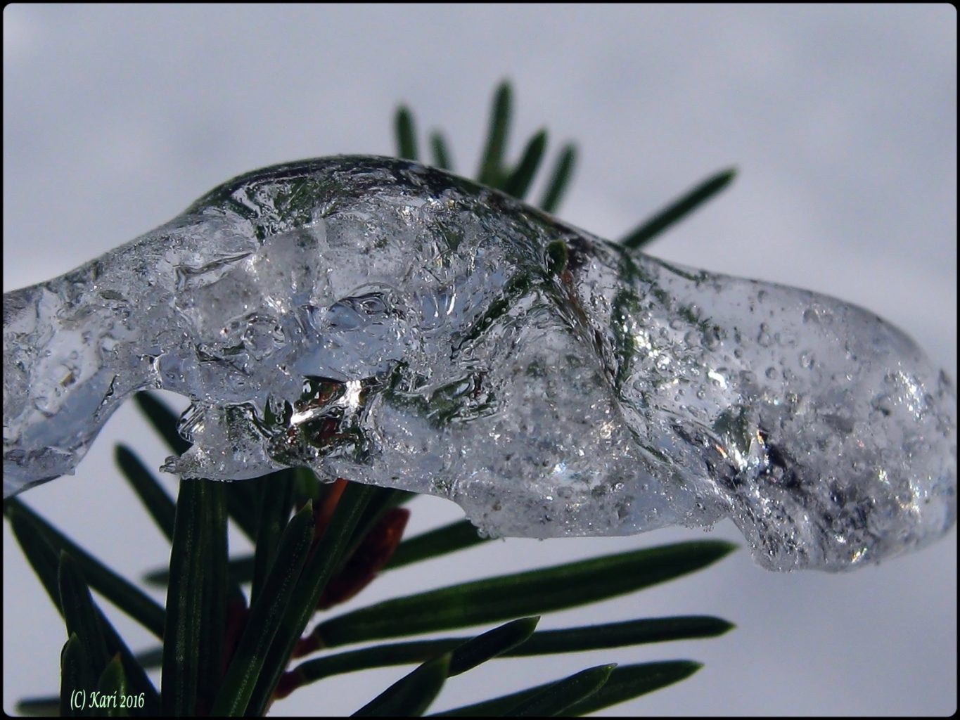 Valokuvaaja: Kari Saarinen