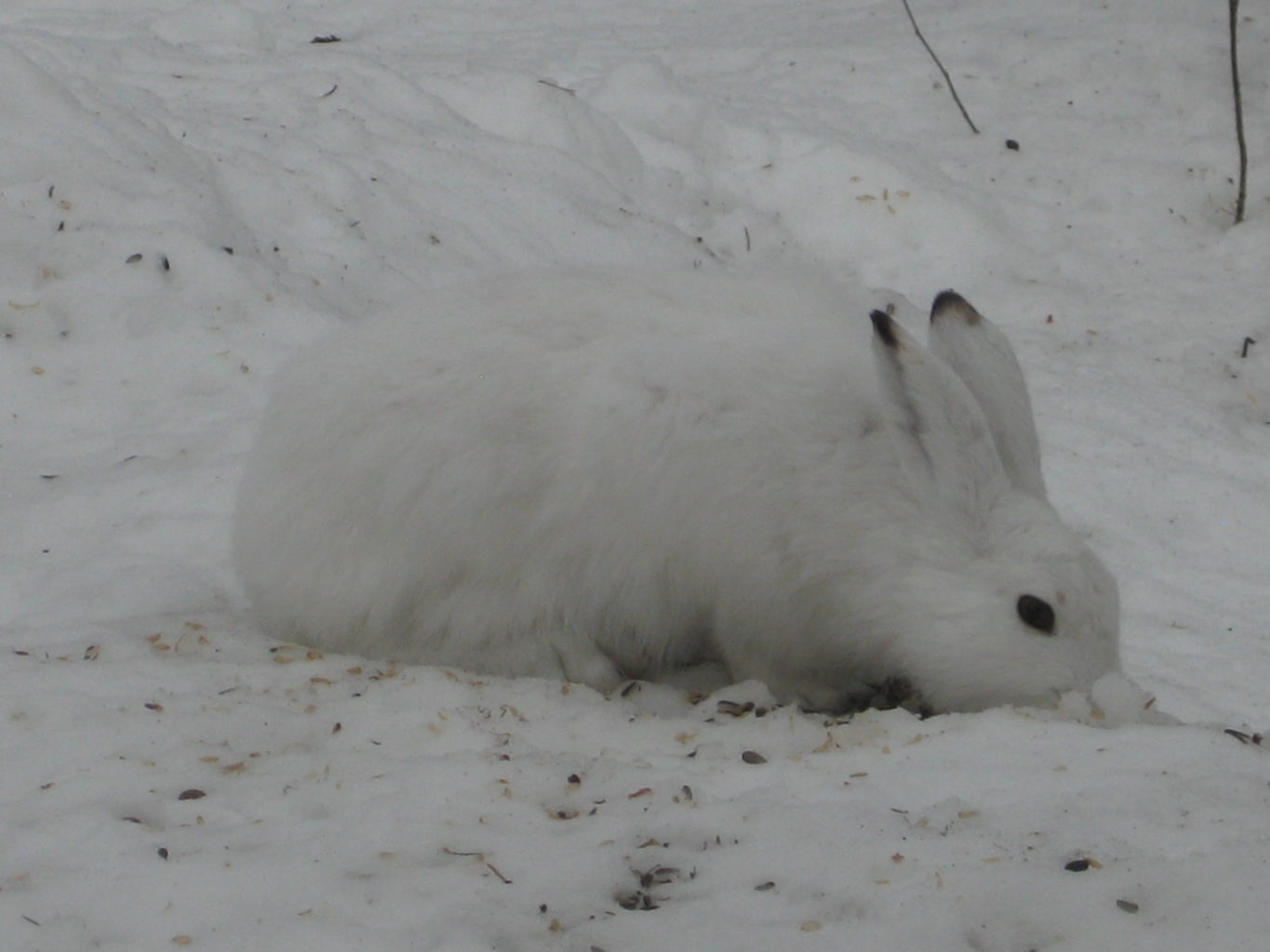 Valokuvaaja: yrjo lukkari