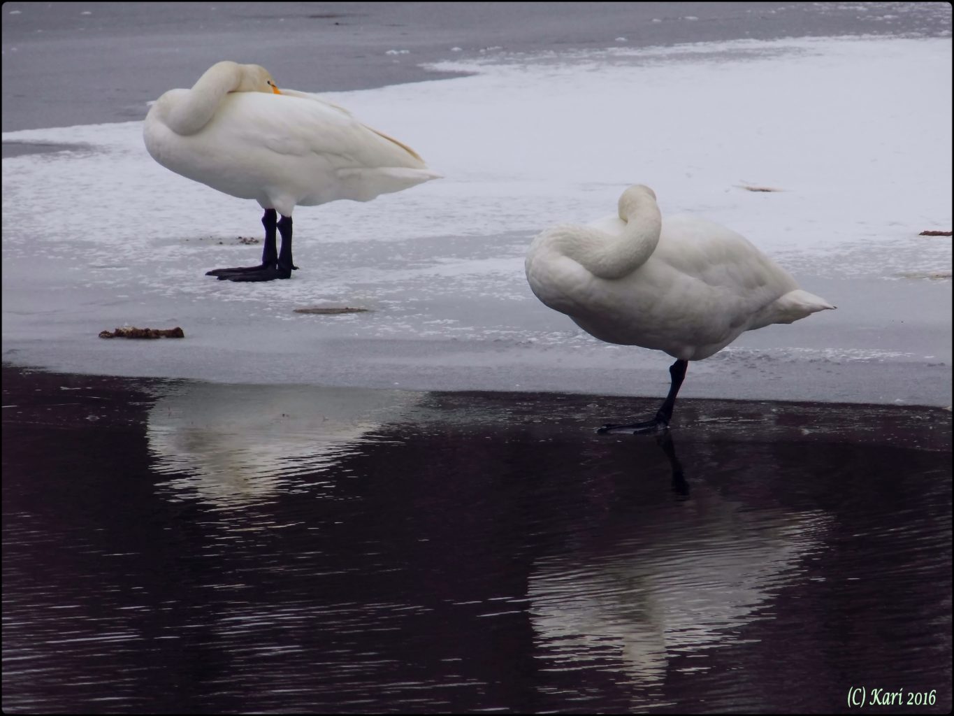 Valokuvaaja: Kari Saarinen