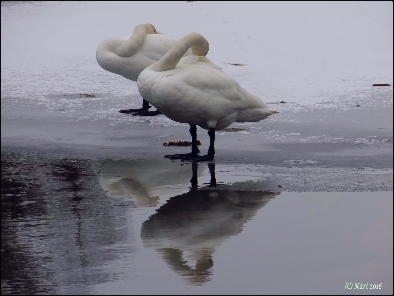 Valokuvaaja: Kari Saarinen