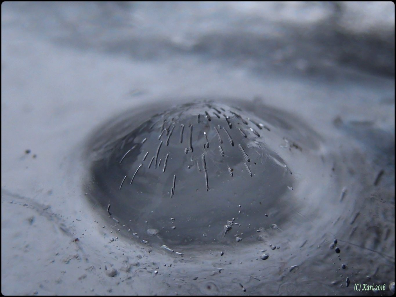 Valokuvaaja: Kari Saarinen