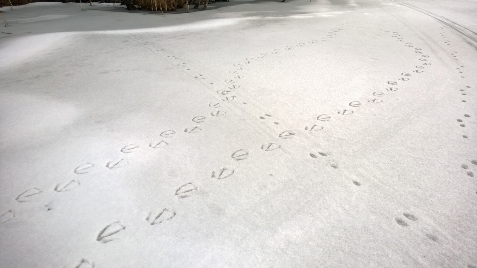 Valokuvaaja: Kari Lahdenperä