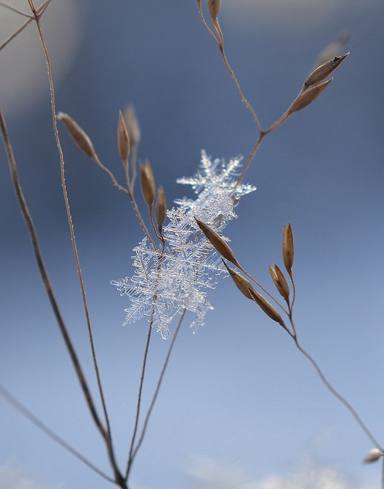 Valokuvaaja: Seija Annala