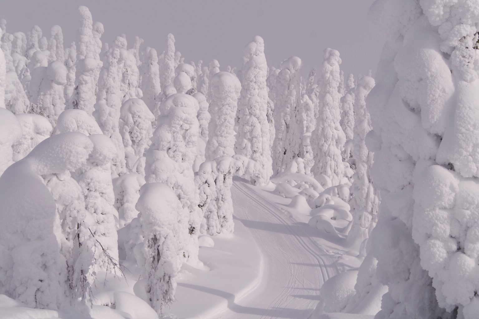 Valokuvaaja: TUULA MAKKONEN