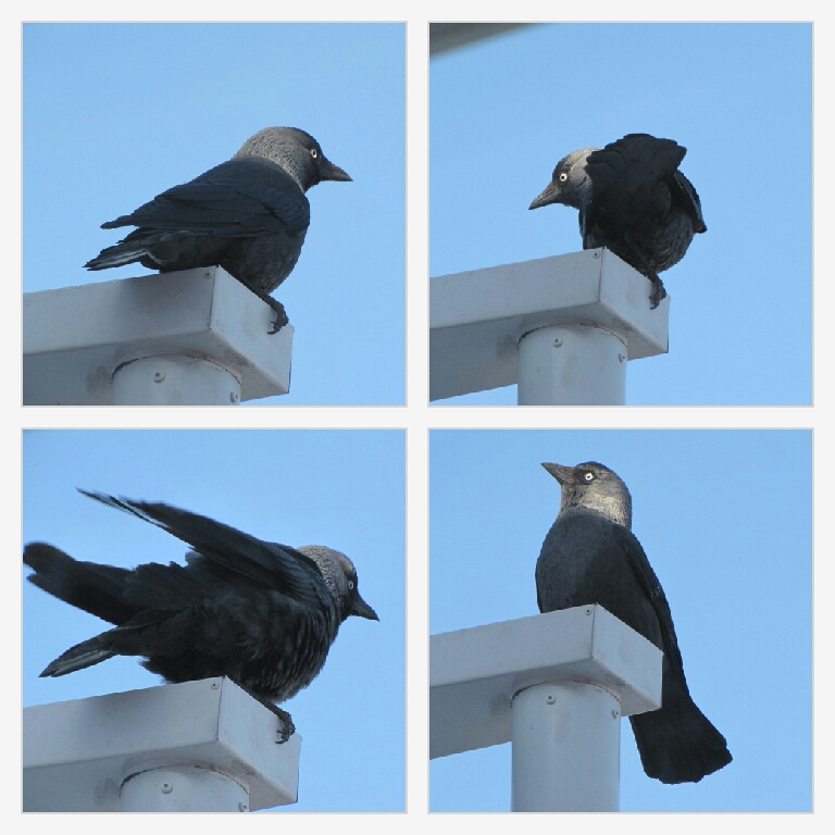 Valokuvaaja: TUULA MAKKONEN