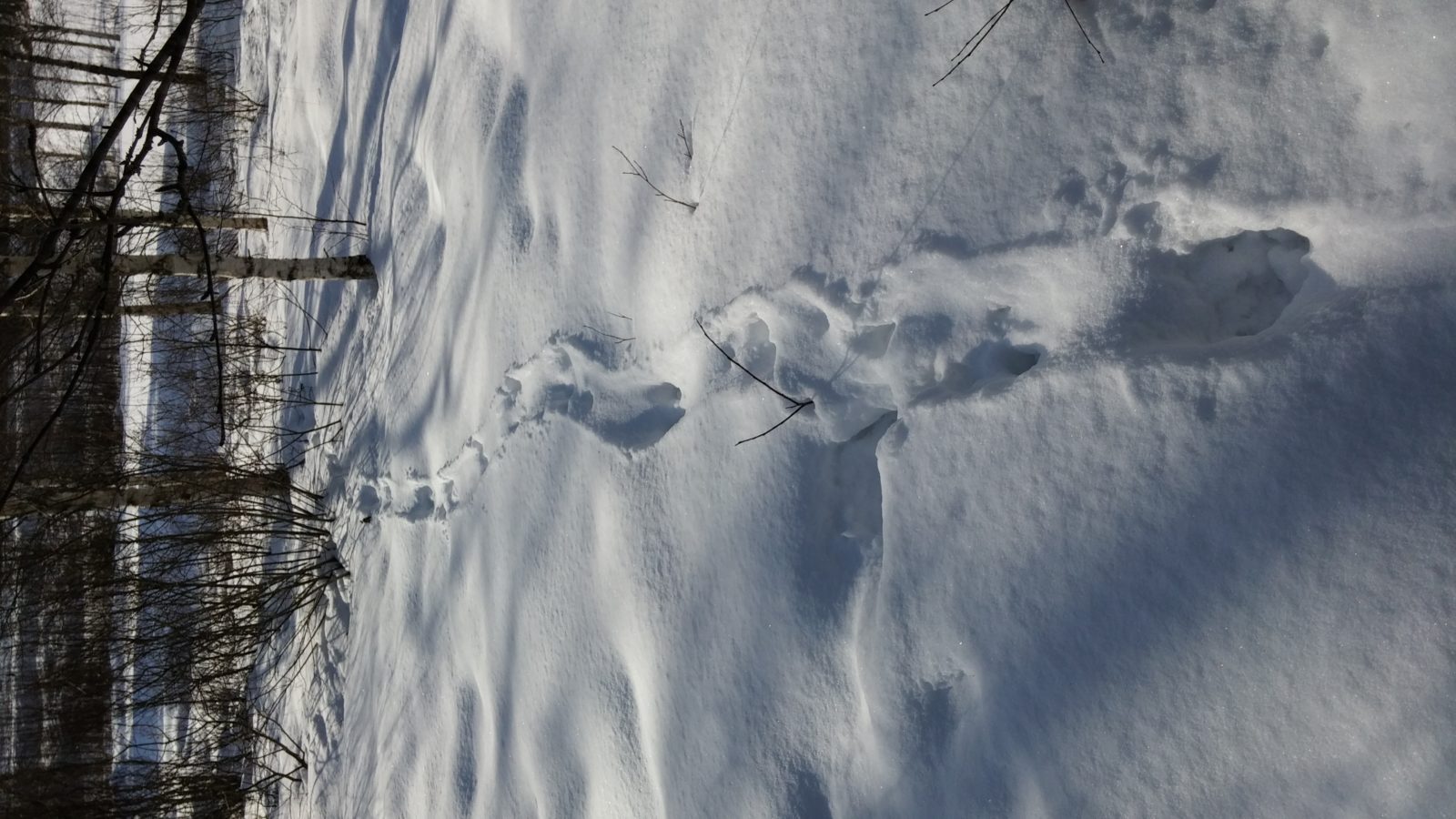 Valokuvaaja: Kaisa Sepponen