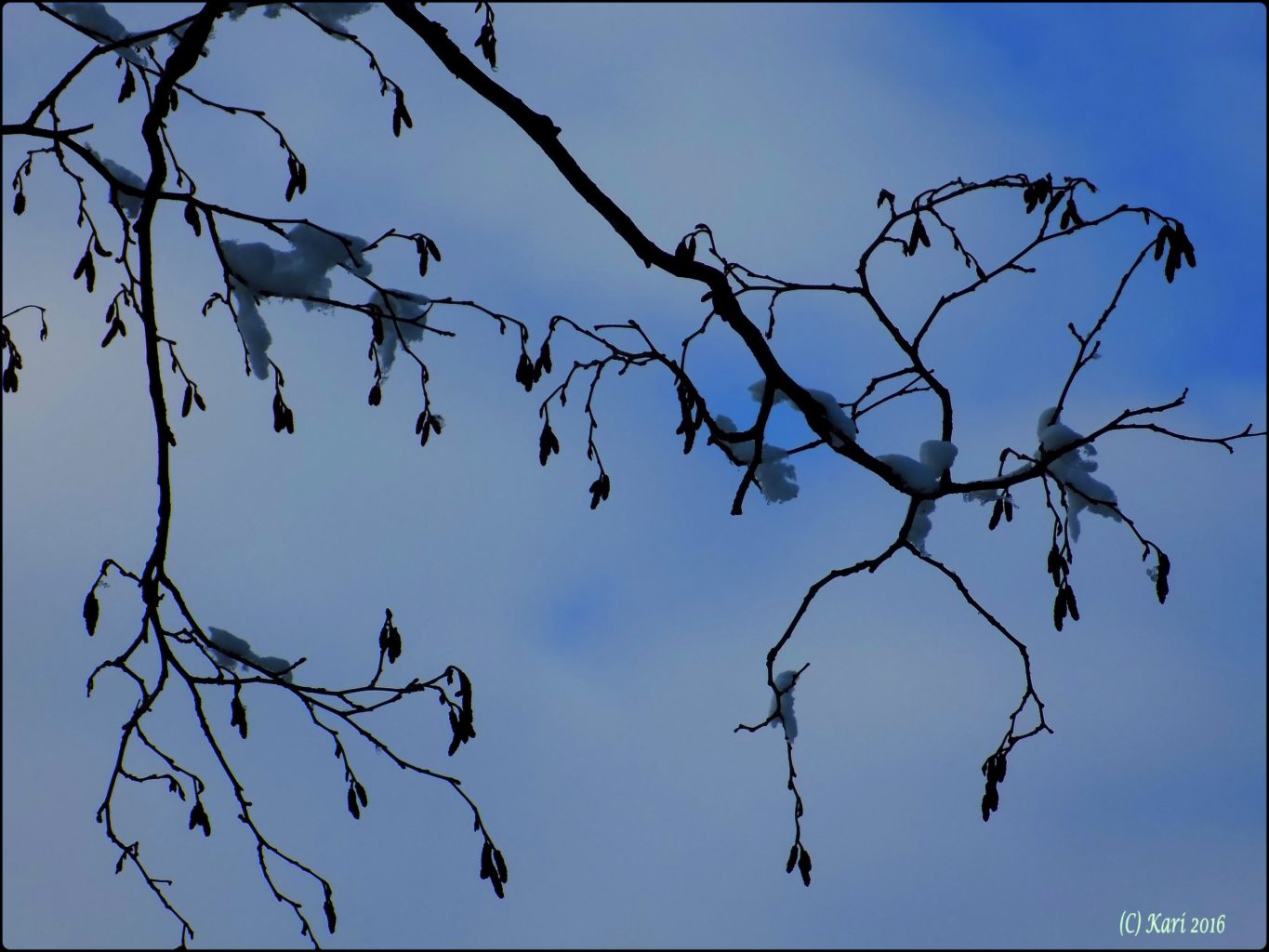 Valokuvaaja: Kari Saarinen Valokuvaaja: Kari Saarinen
