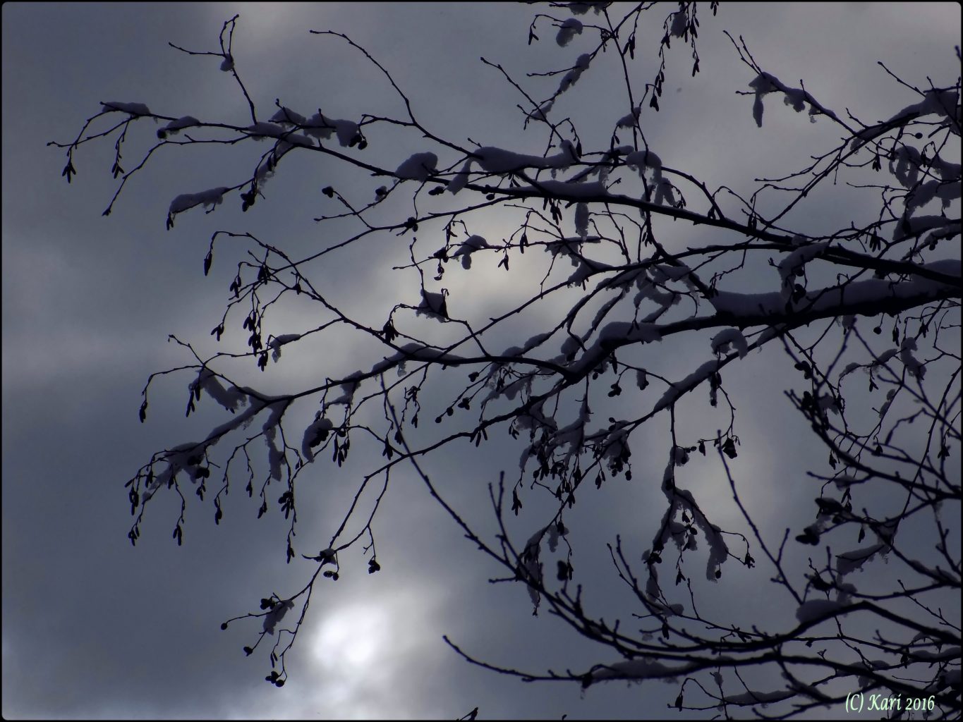 Valokuvaaja: Kari Saarinen