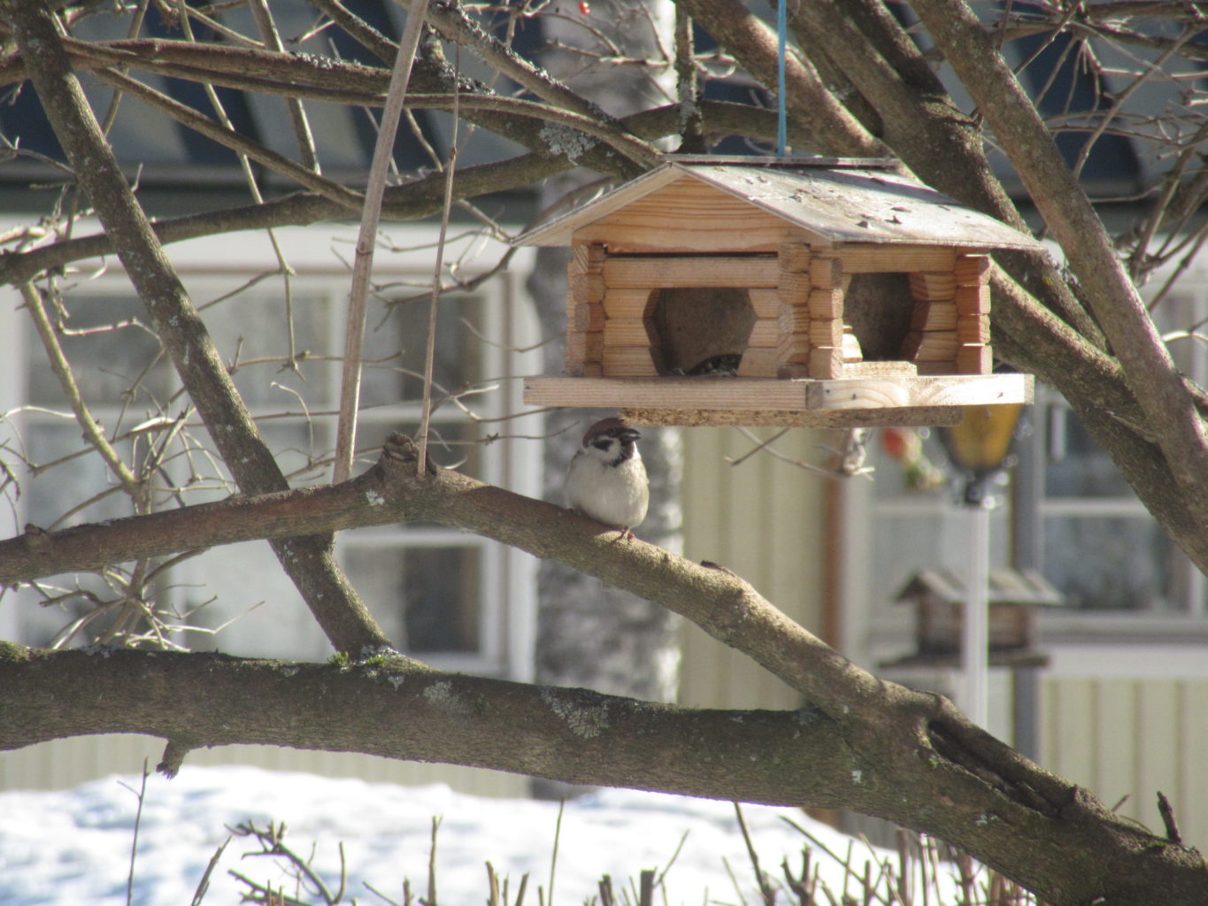Valokuvaaja: Hanna Ronkainen