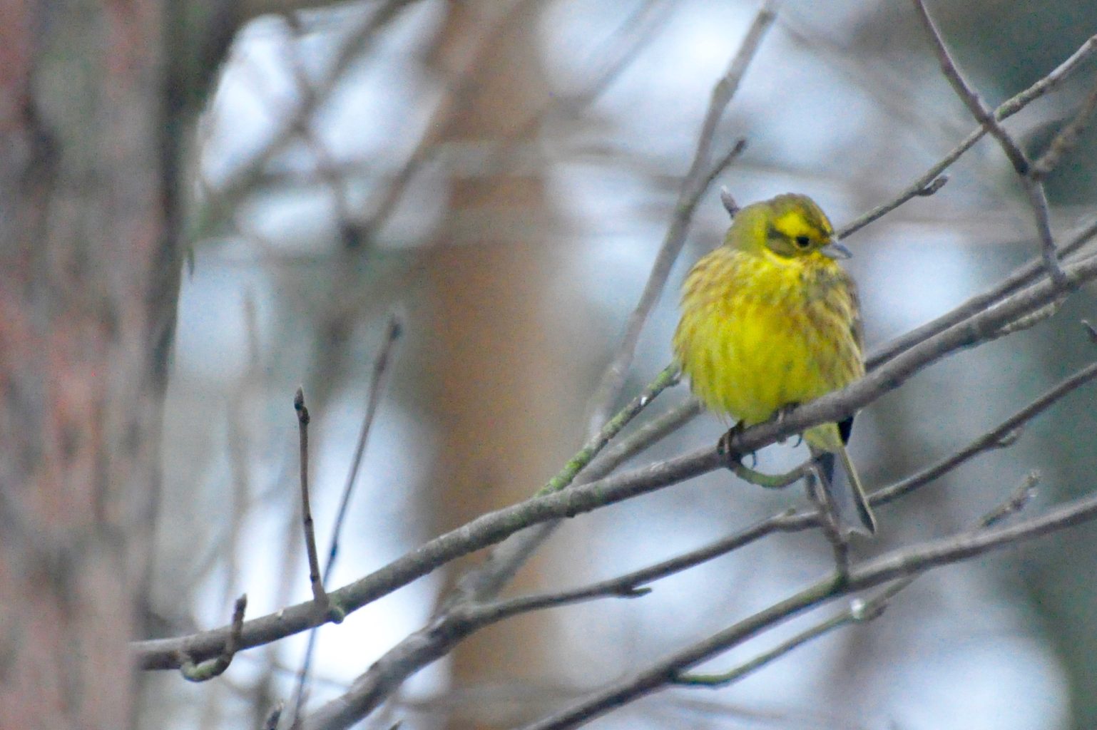 Valokuvaaja: Jenni Merilä