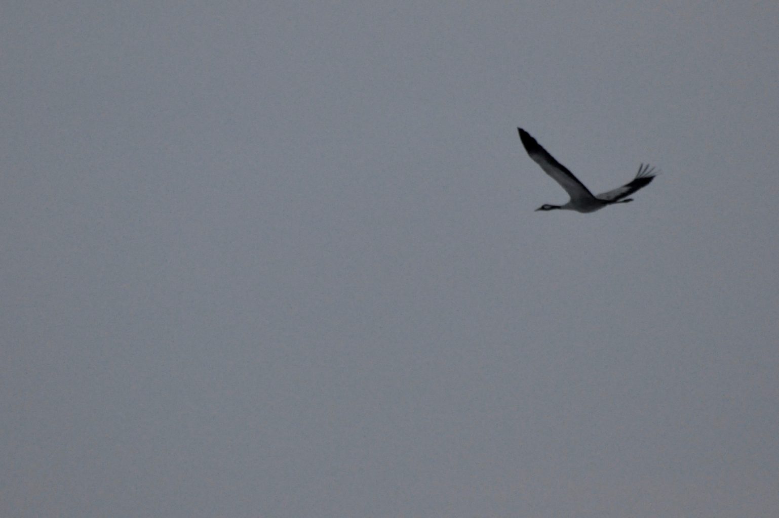 Valokuvaaja: Jenni Merilä