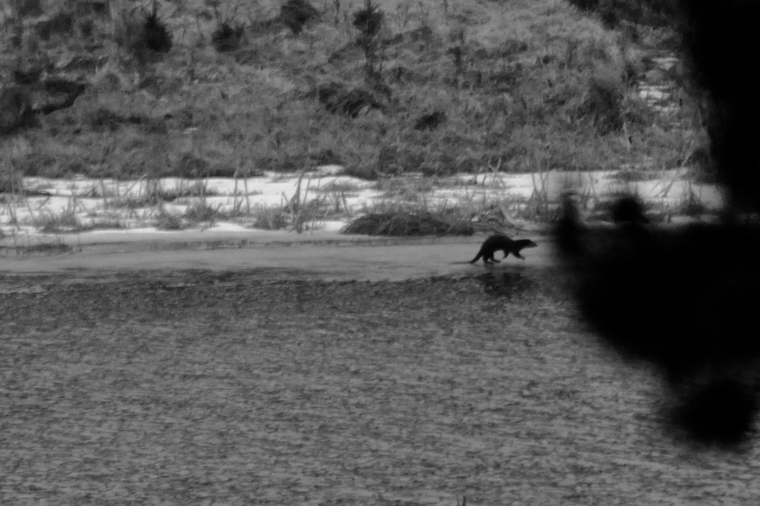 Valokuvaaja: Jenni Merilä