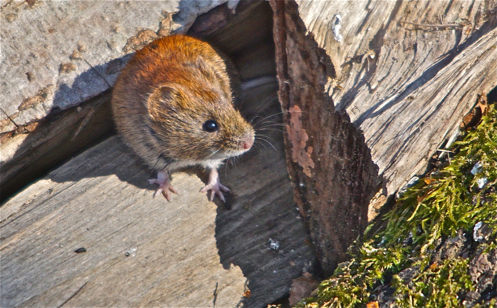 Valokuvaaja: Markku Ranta-Eilola  (mre)