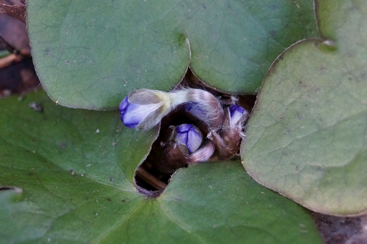 Valokuvaaja: Maarit Siitonen