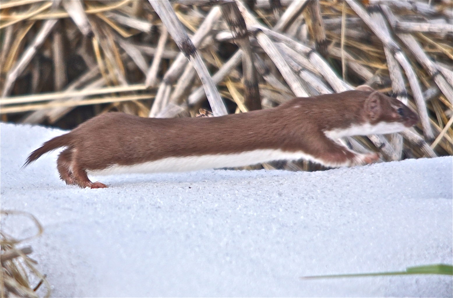 Valokuvaaja: Markku Ranta-Eilola  (mre)